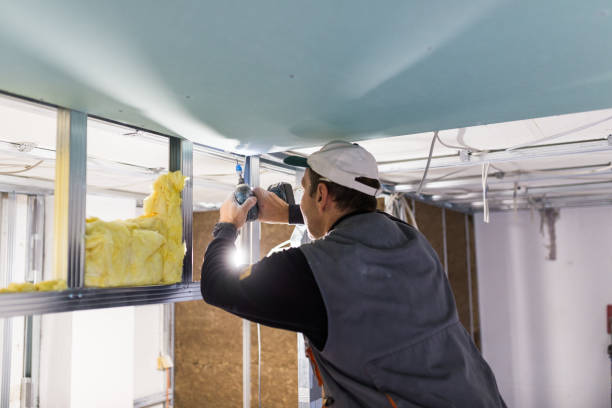 Best Specialized Insulation Services in Smithsburg, MD